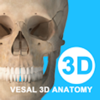 维萨里3D解剖-学生学习老师教学医生资源人体医学图谱大全 - Xi'an Vesalius Digital Technology Co., Ltd.