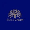 Blue & Cream Card
