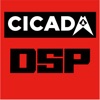 CA DSP