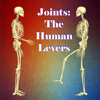Joints: The Human Levers - sunil christian