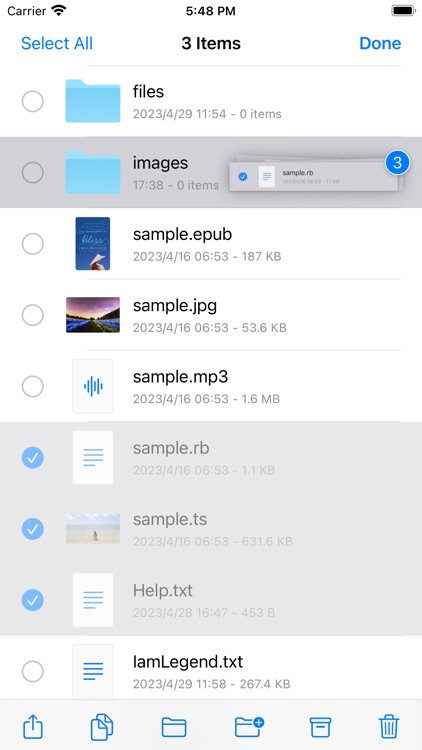 FM File Explorer