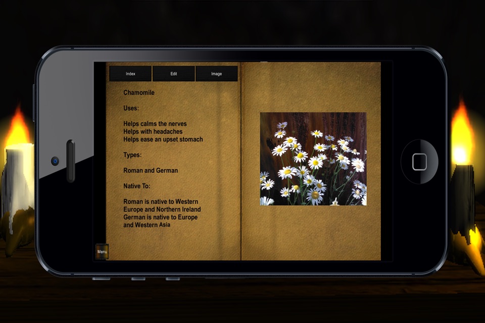 Book of Shadows Ultimate screenshot 3