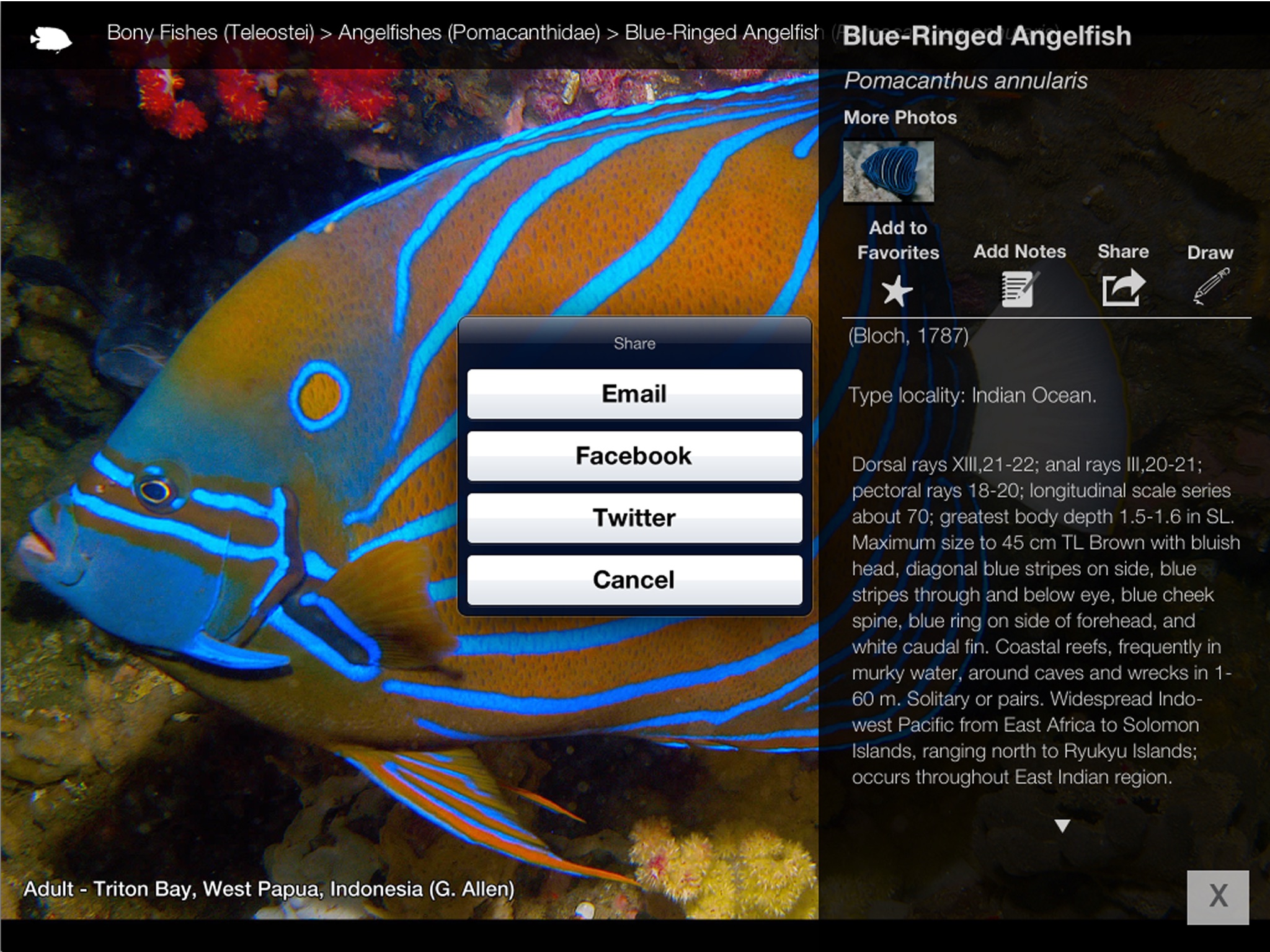 Reef Fishes of East Indies V2 screenshot 3