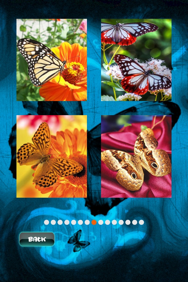 Butterfly Jigsaw screenshot 4