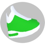 Owner Shoes