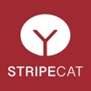 StripChat -  More Fun