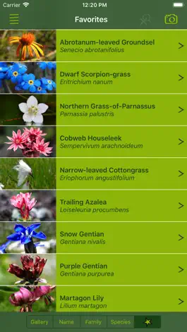 Game screenshot AlpineFlower Finder – Europe hack