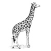 Giraf - Share cultural life