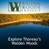 Walden Pond and Woods Guide