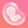 Icon Pregnancy Tracker: Baby Bump