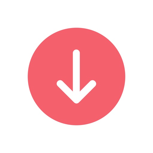 InsTake: Ins Story Saver iOS App