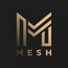 MESH Collective