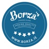 Borza Stepaside App