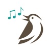 Pássaros.Org