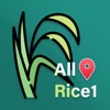 All-Rice1
