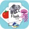 Flash Cards Learning Game