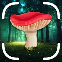 Mushroom Identifier App app not working? crashes or has problems?