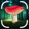 Icon Mushroom Identifier App: Fungi