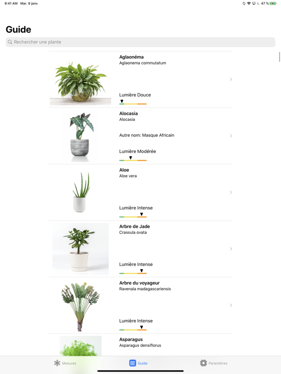 Plantes et Lumière Plantes et Lumière