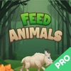 Feed Animal Pro