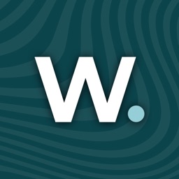 Wave - credit card icon