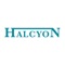 Halcyon Auctions is a house that brings the traditional values of trust, care and discretion to the fore, with the view to create the best experience for both buyer and seller