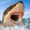 Get real time hunting adventure by shooting hungry sharks to be the shark hunter warrior