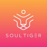 Soul Tiger