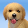 Get My Dog: Pet Dog Game Simulator for iOS, iPhone, iPad Aso Report
