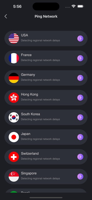 西柚-国际极速版Network Tool