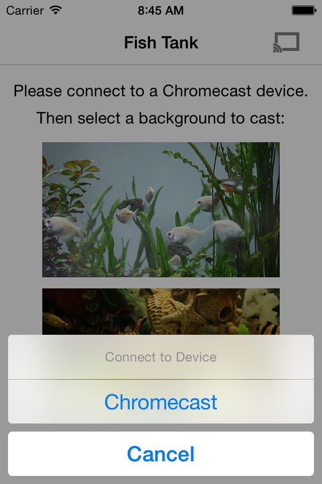 Fish Tank on TV for Chromecast screenshot 2