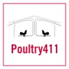 poultry411