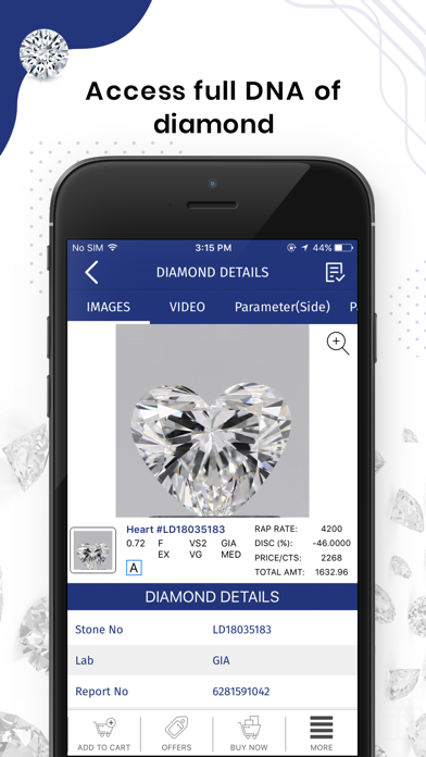 Laxmi Diamond for iPhone screenshot 4
