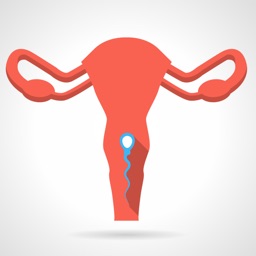 The Female Reproductive System