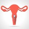 Get female reproductive system anatomy, physiology, common pathologies and sexual health