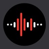 Icon Voice Recorder & Memos