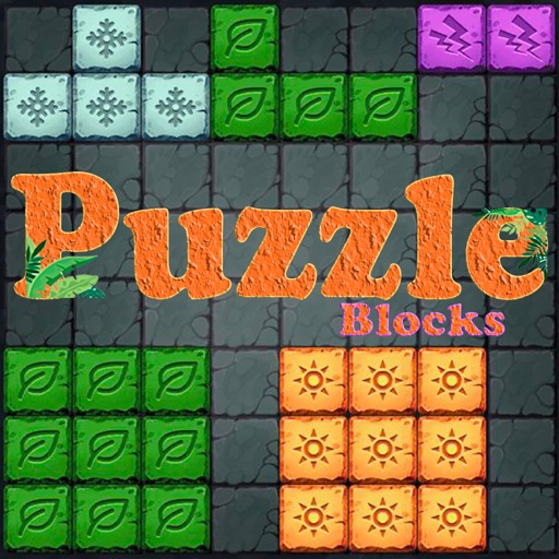 Block Puzzle Drag