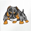 Dogma Bully Dog App