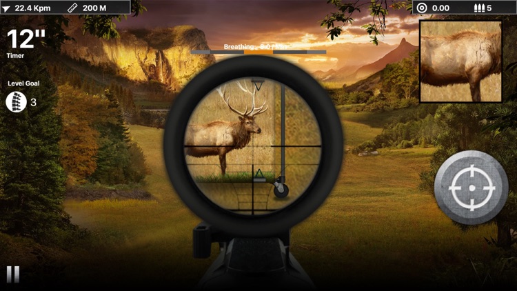 Deer Target Shooting : Pro