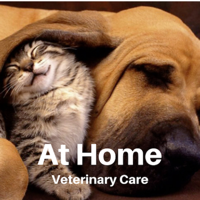 At Home Veterinary Care