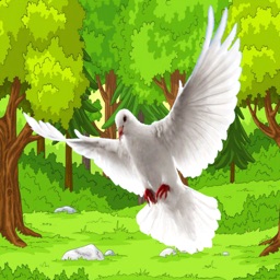 flying pigeon bird simulator