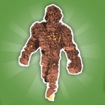 Hairy Run 3D
