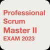 Professional Scrum Master II