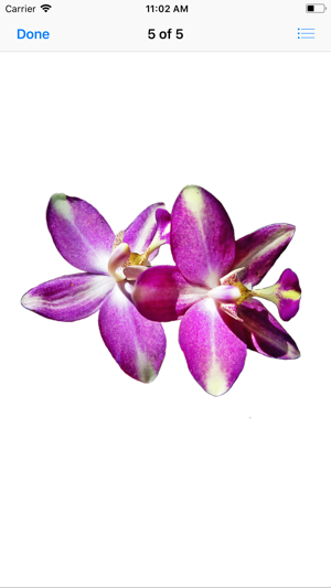 Orchid Stickers(圖7)-速報App