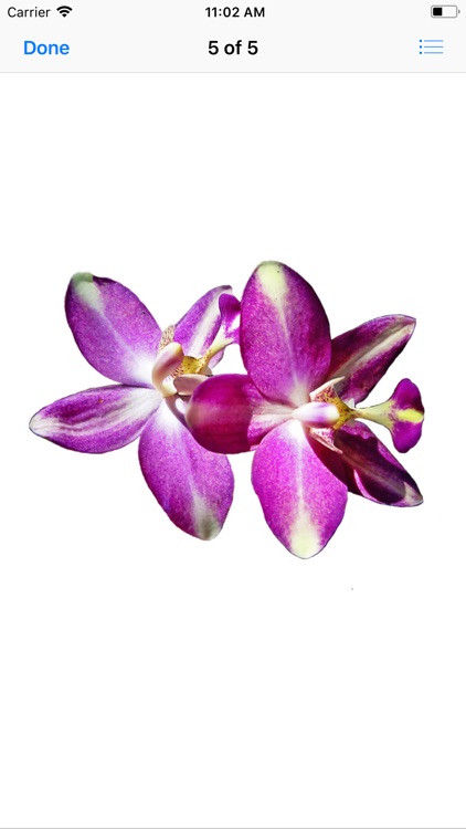 Orchid Stickers screenshot-6