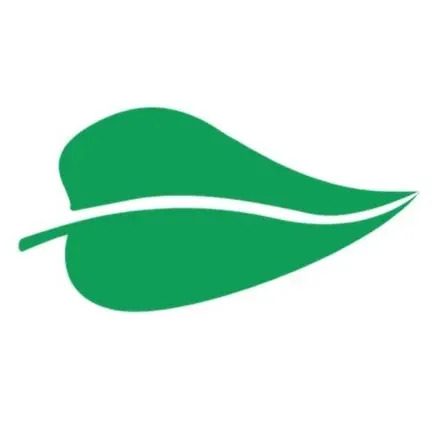 Leafwords Читы