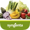 My Seeds Syngenta