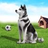 Dog Simulator: Pet Animal Game