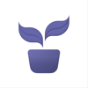 Carl AI Plant, Tree Identifier - Colorbits Limited