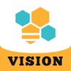 BES VISION